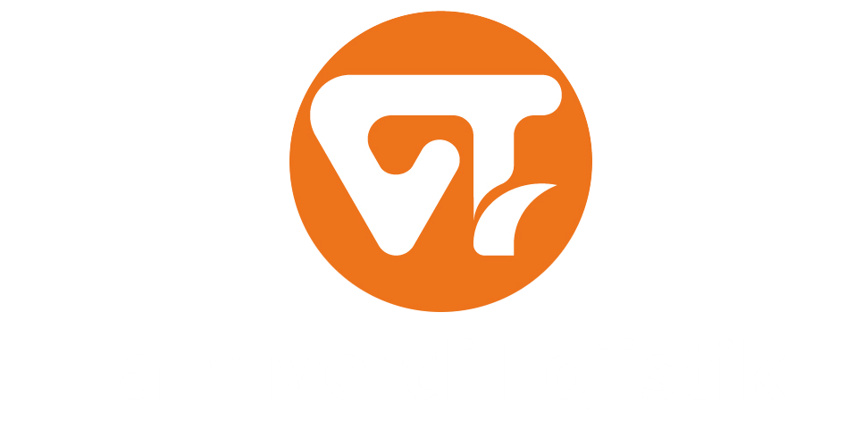 tanriverdi_logo